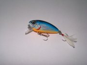 DSC06264.jpg