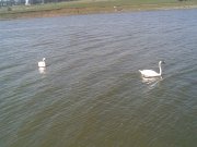 09082008.jpg