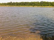Photo-0015.jpg