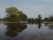 DSC07485.jpg