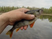 DSC07509.jpg