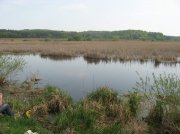 IMG_8251.jpg