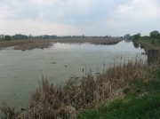 IMG_8263.jpg