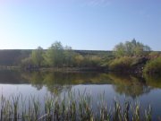 DSC00840.JPG