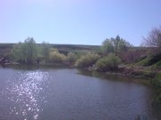 DSC00850.JPG