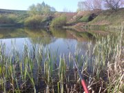 DSC00838.JPG