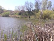 DSC00006.JPG