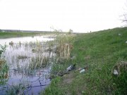 4.05-4.jpg