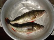 DSC09002.JPG