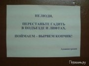 1273008120_7.jpg