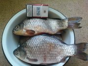 DSC02900.JPG