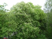 DSC04023.JPG
