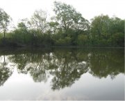01,01,2010 020.jpg