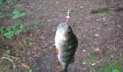 01,01,2010 027.jpg