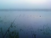 DSC02903.JPG