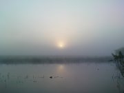 DSC02907.JPG
