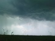 DSC02913.JPG