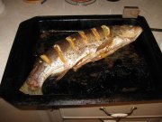 IMG_0264.jpg