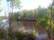 DSC01174.JPG