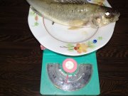 08052010253.jpg