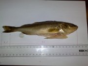 08052010256.jpg