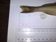 08052010258.jpg