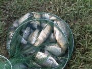 12052010053.jpg
