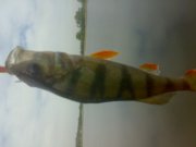 05052010111.jpg