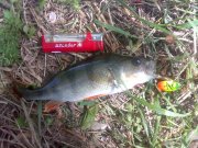 05052010113.jpg