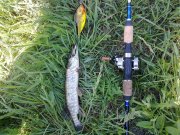 14052010063н.JPG