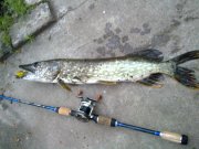 14052010064н.JPG
