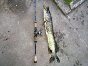 14052010066н.JPG