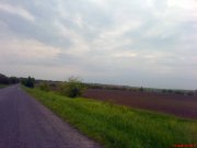 DSC01186.JPG