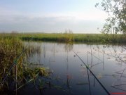DSC01187.JPG