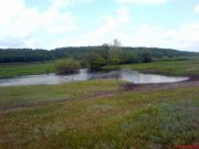 DSC01194.JPG
