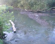 000513_050716.jpg