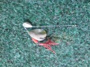 DSC01158.JPG
