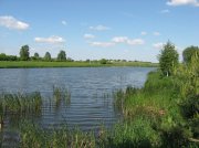 IMG_5633.jpg