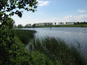 IMG_5634.jpg