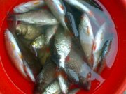 23052010147.jpg