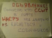 1200133940_11.jpg