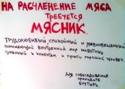 1274813718_2.jpg
