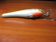 IMG_0006.jpg