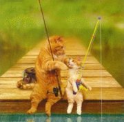 Cats.JPG
