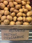 абрикосы.JPG