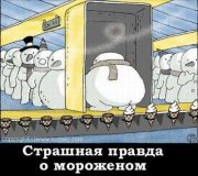 мороженное.JPG
