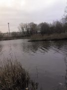 22-12-07_1053.jpg