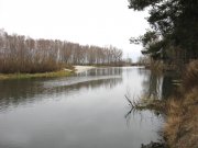 IMG_0001.JPG