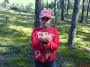 DSC00158.JPG