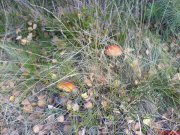 DSC00161.JPG